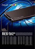 Dymax REX-LED Lighting Blue/White LED