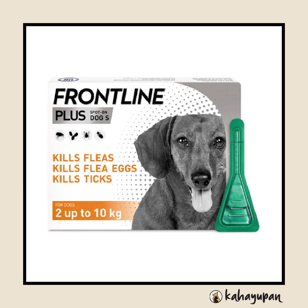 Small Dogs Frontline Plus For Dogs Price Frontline Plus Anti Tick