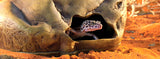 Exo Terra Gecko Cave