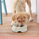 DogIt Go Slow Feeding Bowl Extra Small