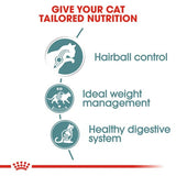 Royal Canin Specialty Wet Cat Food Pouches Hairball Care