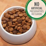 Iams Adult Large Breed