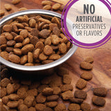 Iams Mature Adult