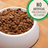 Iams Adult Minichunks