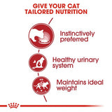 Royal Canin Specialty Wet Cat Food Pouches Instinctive