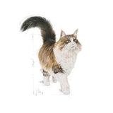 Royal Canin Specialty Wet Cat Food Pouches Instinctive