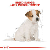 Royal Canin Jack Russell Terrier Puppy