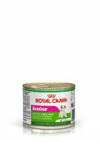 Royal Canin Junior (Appetite Simulation) Wet Food in Gravy