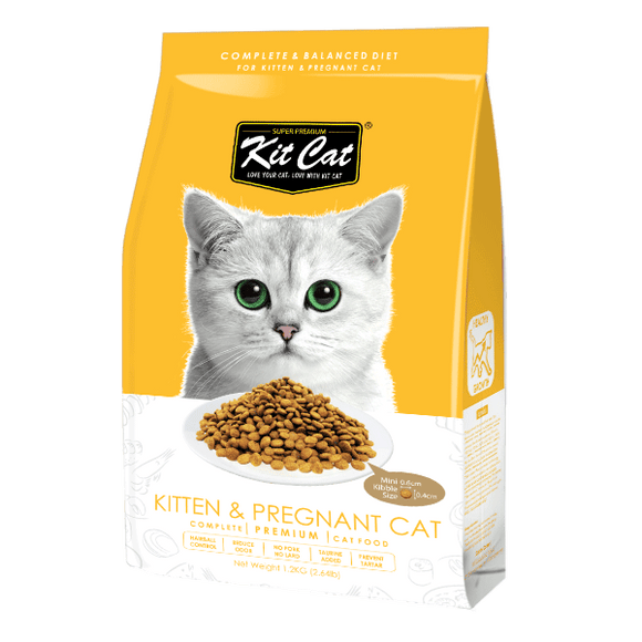 Homemade cat food for pregnant cats deals