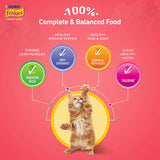 Purina Friskies Kitten Discoveries