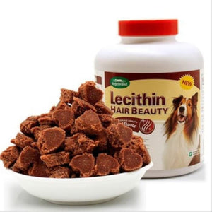 Vegebrand Lecithin Hair Beauty