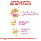 Royal Canin Maine Coon Kitten