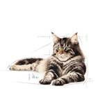 Royal Canin Maine Coon Adult Wet Food in Gravy