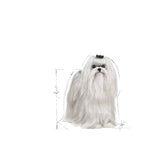 Royal Canin Maltese Adult