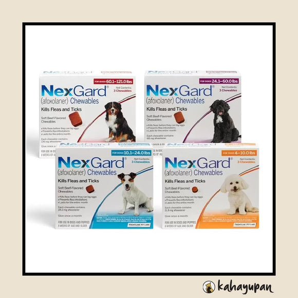 Nexgard Anti Tick and Flea Chewable for Dogs