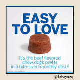 Nexgard Anti Tick and Flea Chewable for Dogs