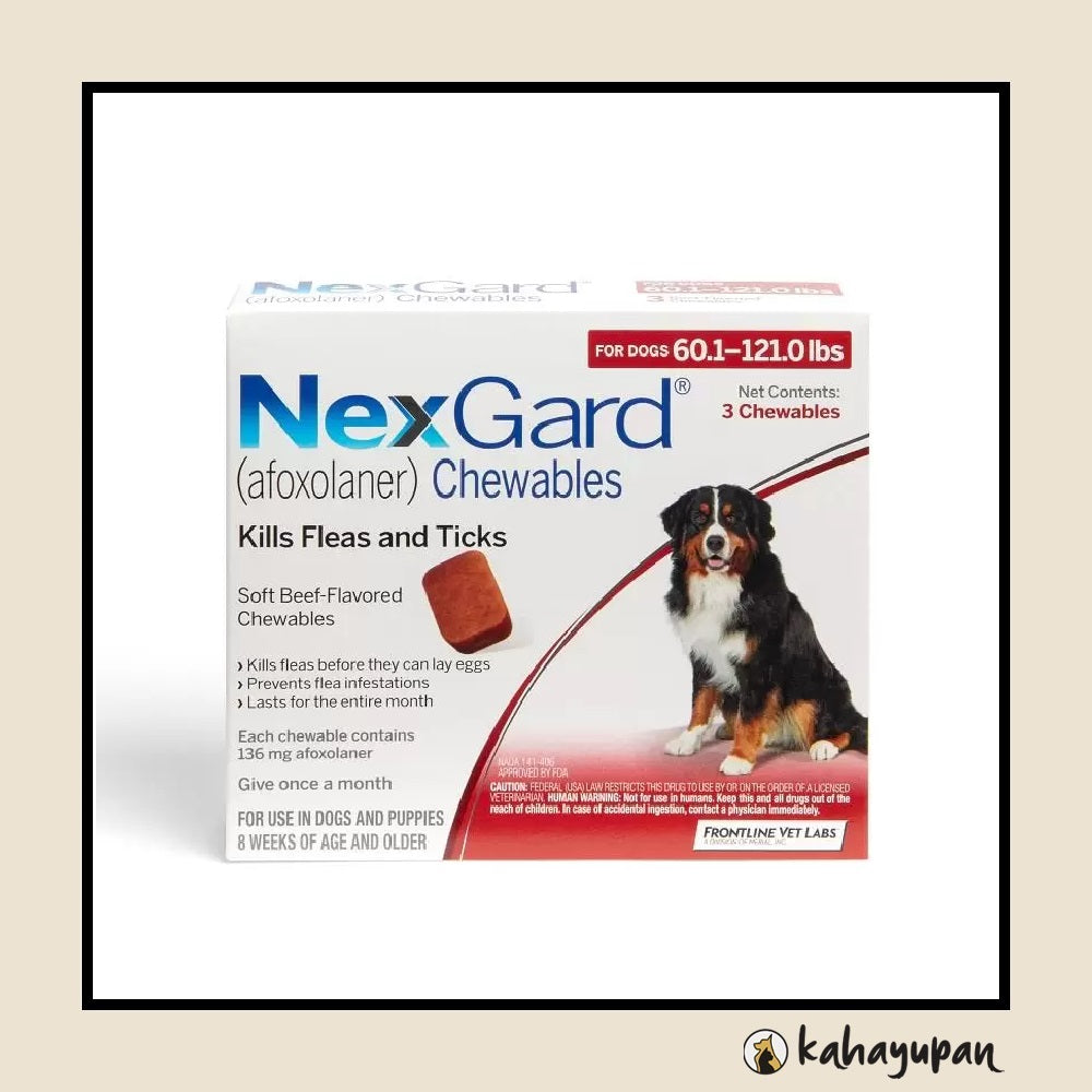 Nexgard Anti Tick and Flea Chewable for Dogs kahayupan PH
