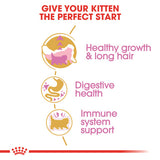 Royal Canin Persian Kitten
