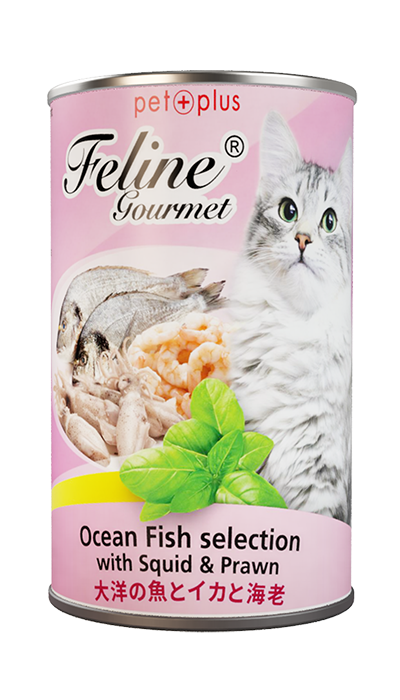 Pet Plus Feline Gourmet Canned Wet Food Ocean Fish Selection with Squid and Prawn
