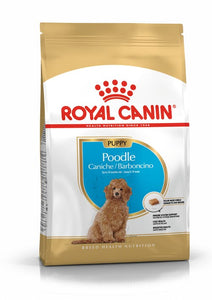 Royal Canin Poodle Puppy