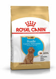 Royal Canin Poodle Puppy