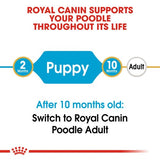 Royal Canin Poodle Puppy