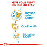 Royal Canin Poodle Puppy