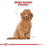 Royal Canin Poodle Puppy