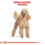 Royal Canin Poodle Adult Wet Food in Gravy