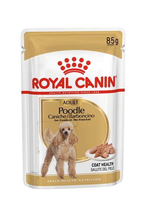 Royal Canin Poodle Adult Wet Food in Gravy