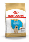 Royal Canin Labrador Retriever Puppy