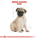 Royal Canin Pug Puppy