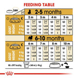 Royal Canin Pug Puppy