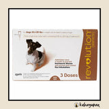 Revolution Anti Tick, Flea, Heartworm, Ear Mites, and Sarcoptic Mange Mites Topical Solution for Dogs