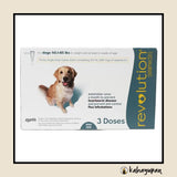 Revolution Anti Tick, Flea, Heartworm, Ear Mites, and Sarcoptic Mange Mites Topical Solution for Dogs