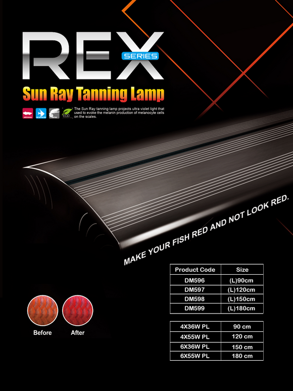 Dymax REX-LED Sunray Tanning Lamp 150cm (6XPL36W)