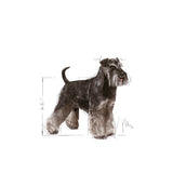 Royal Canin Miniature Schnauzer Adult