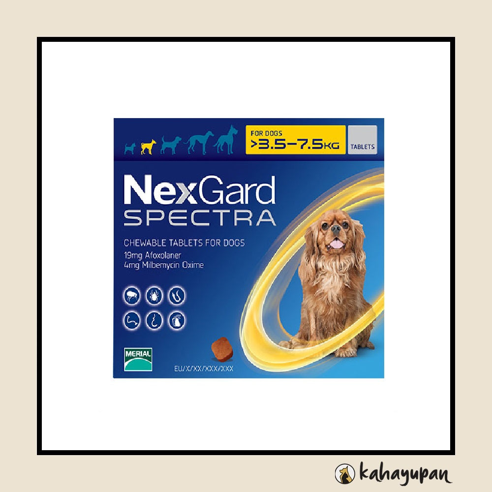 Nexgard Spectra Anti Tick, Flea, Roundworms, Hookworms and