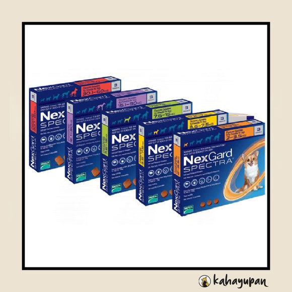 Nexgard Spectra Anti Tick, Flea, Roundworms, Hookworms and Whipworms Chewable for Dogs.