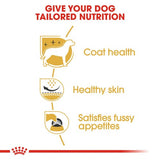 Royal Canin West Highland White Terrier Adult