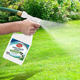 Simple Solutin Yard Odor Away