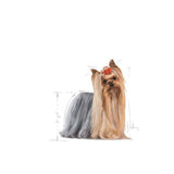 Royal Canin Yorkshire Terrier Adult