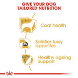 Royal Canin Yorkshire Terrier Adult
