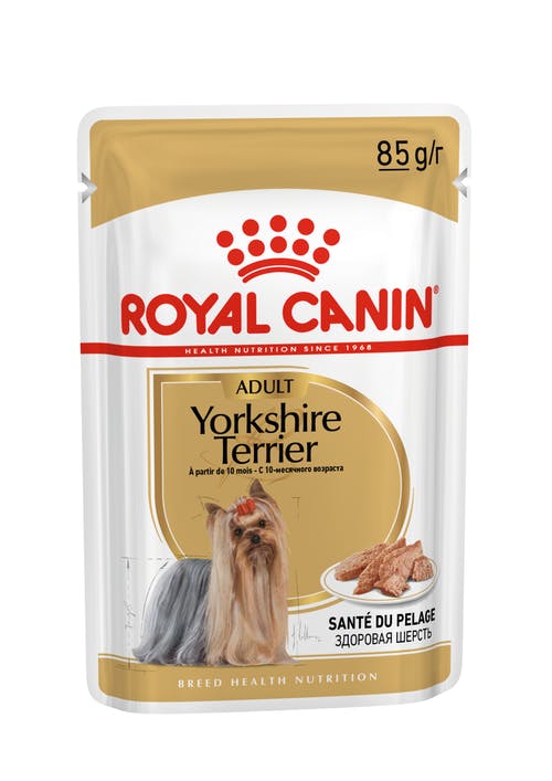 Royal Canin Yorkshire Terrier Adult Wet Food in Gravy