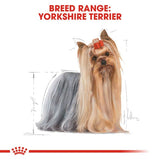 Royal Canin Yorkshire Terrier Adult Wet Food in Gravy