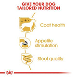 Royal Canin Yorkshire Terrier Adult Wet Food in Gravy